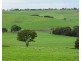 649 Coleraine – Balmoral Road, Wootong Vale VIC 3315