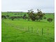 649 Coleraine – Balmoral Road, Wootong Vale VIC 3315