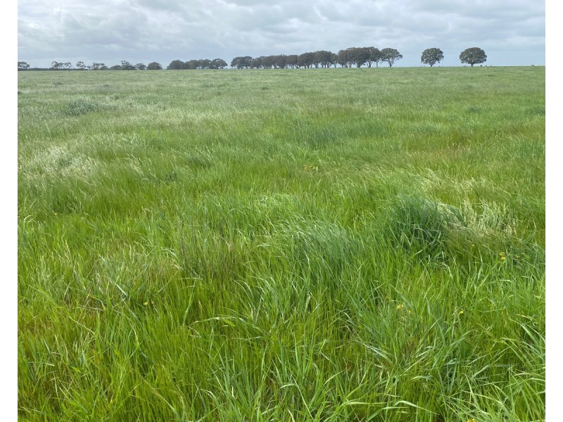 2310 Hamilton Highway, Hexham VIC 3273