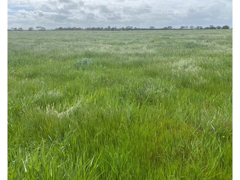 2310 Hamilton Highway, Hexham VIC 3273