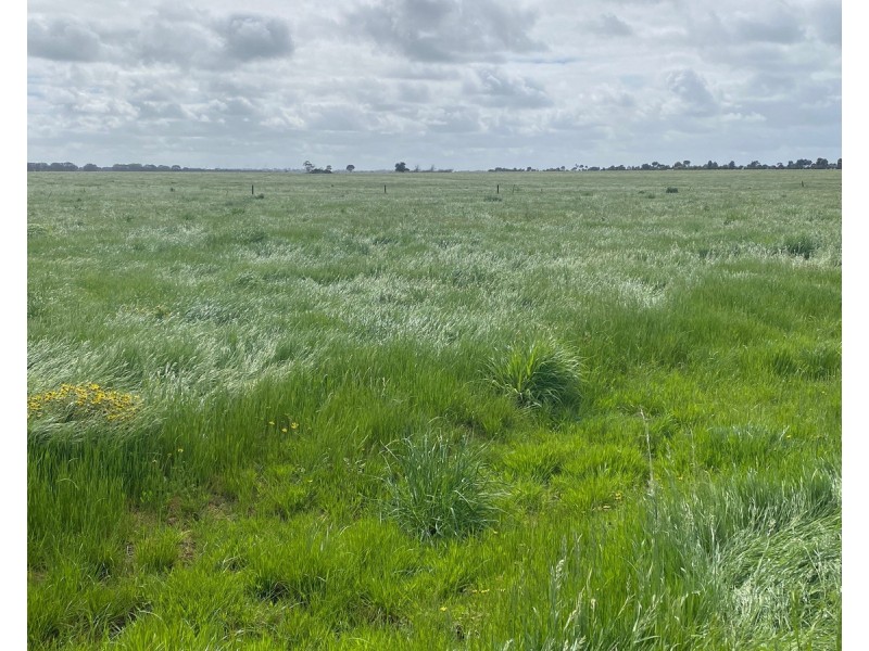 2310 Hamilton Highway, Hexham VIC 3273
