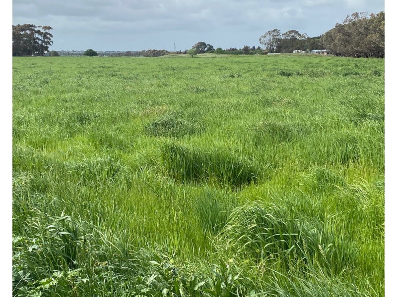2310 Hamilton Highway, Hexham VIC 3273