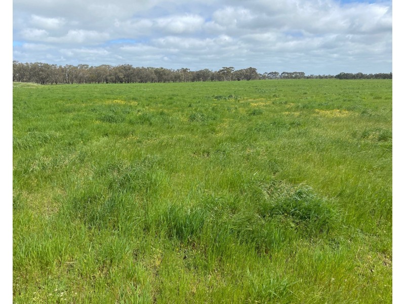 2310 Hamilton Highway, Hexham VIC 3273