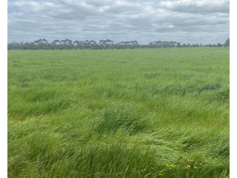 2310 Hamilton Highway, Hexham VIC 3273