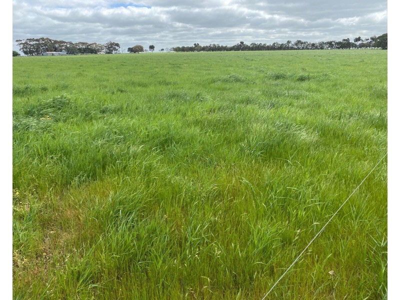 2310 Hamilton Highway, Hexham VIC 3273
