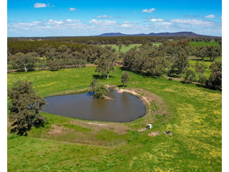 352 Melville Forest-Vasey Road, Vasey VIC 3407