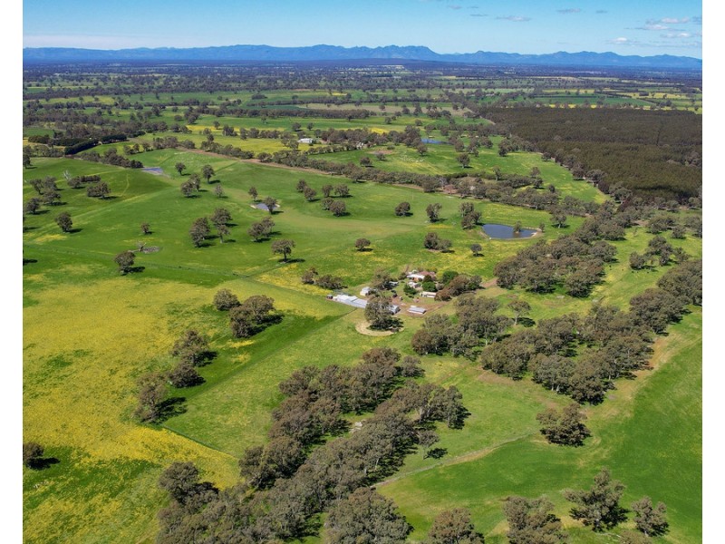 352 Melville Forest-Vasey Road, Vasey VIC 3407