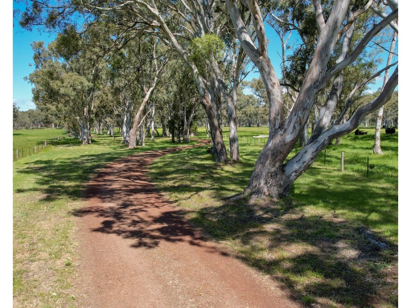 352 Melville Forest-Vasey Road, Vasey VIC 3407