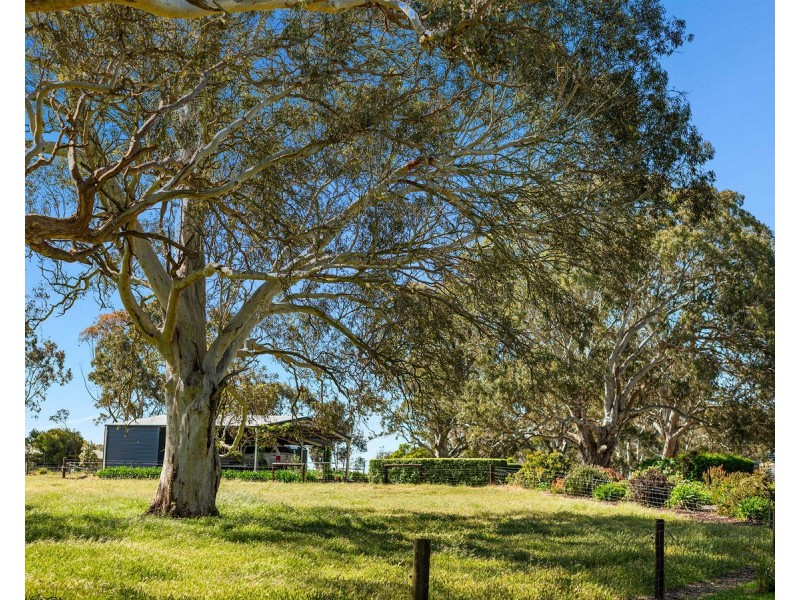6997 Dartmoor-Hamilton Road, Hamilton VIC 3300