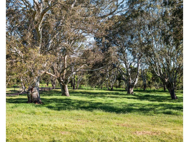 6997 Dartmoor-Hamilton Road, Hamilton VIC 3300