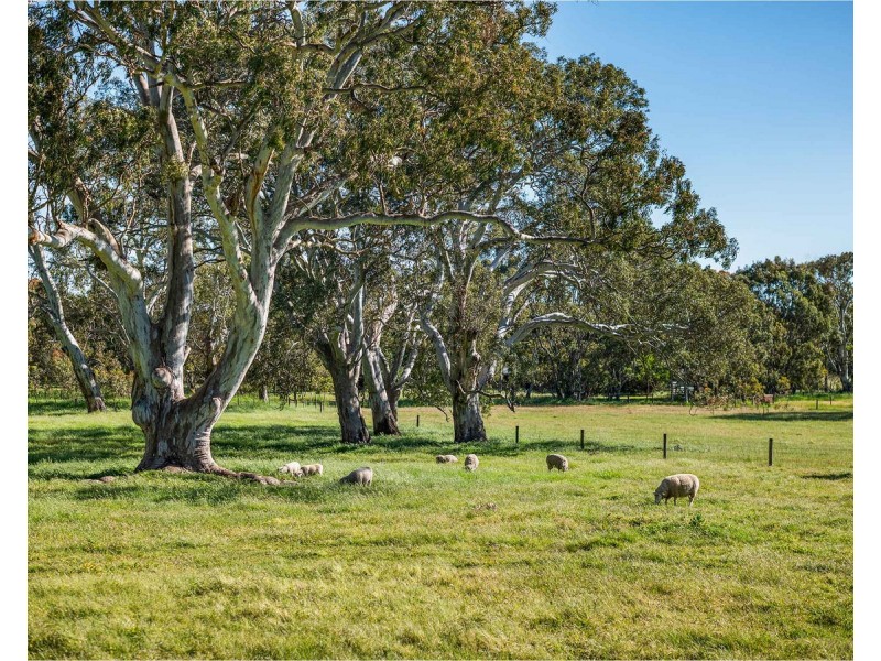 6997 Dartmoor-Hamilton Road, Hamilton VIC 3300