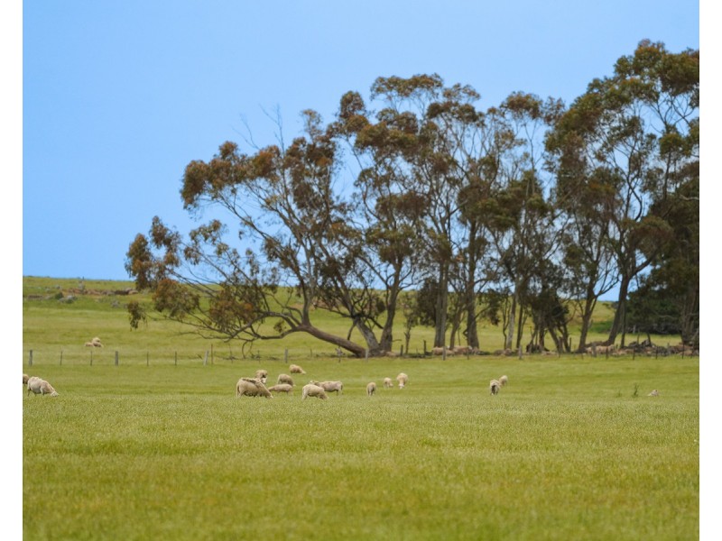 Huf’s Back Lane, Warrayure VIC 3301