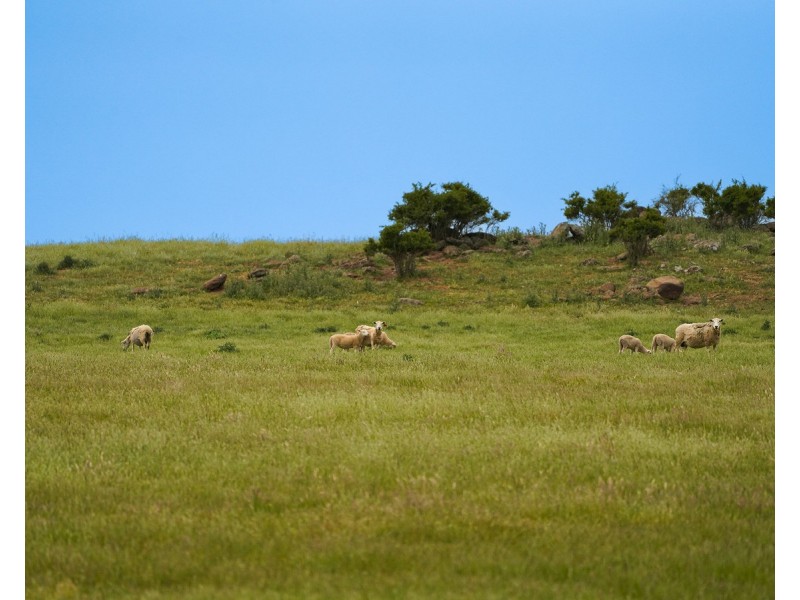 Huf’s Back Lane, Warrayure VIC 3301