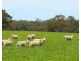Mount Cavendish Road, Cavendish VIC 3314