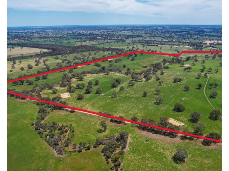 Mount Cavendish Road, Cavendish VIC 3314