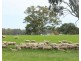 Mount Cavendish Road, Cavendish VIC 3314