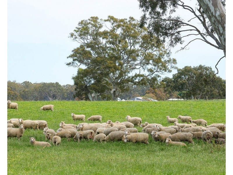 Mount Cavendish Road, Cavendish VIC 3314