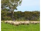 Mount Cavendish Road, Cavendish VIC 3314