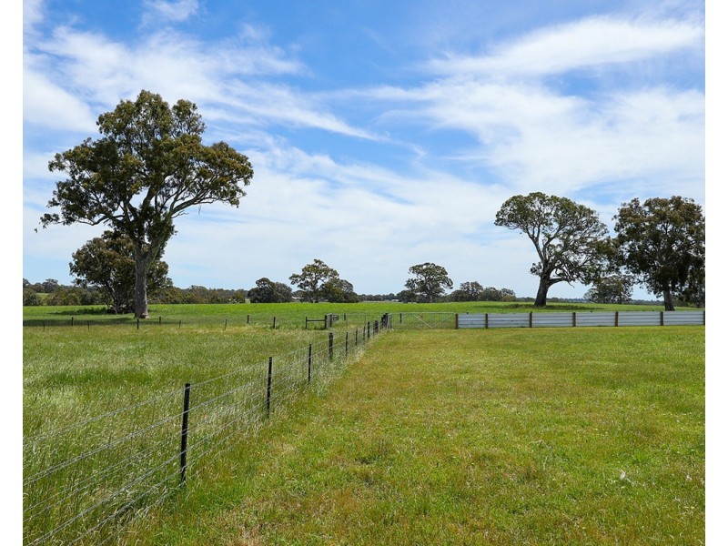 Mount Cavendish Road, Cavendish VIC 3314