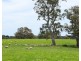 Mount Cavendish Road, Cavendish VIC 3314