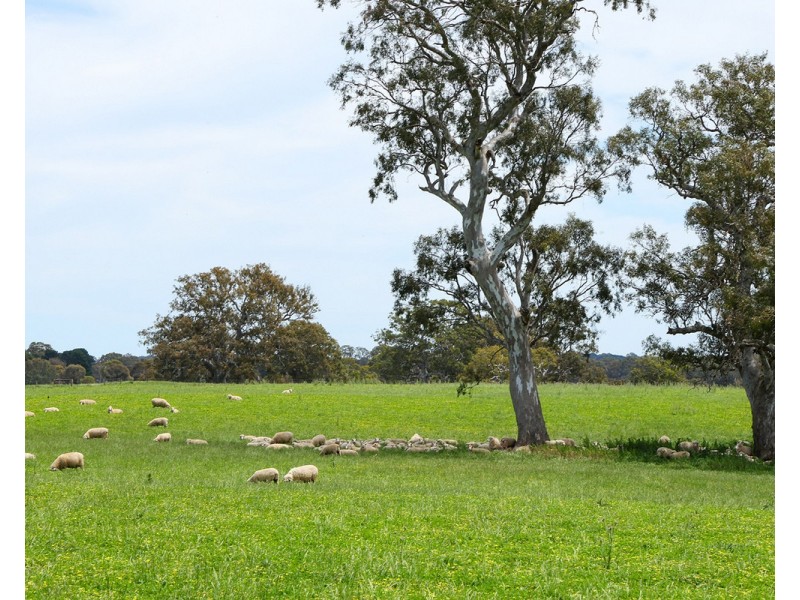 Mount Cavendish Road, Cavendish VIC 3314