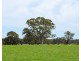 Mount Cavendish Road, Cavendish VIC 3314