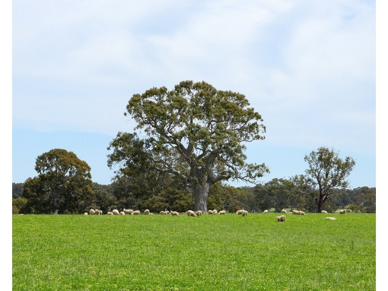 Mount Cavendish Road, Cavendish VIC 3314