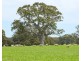 Mount Cavendish Road, Cavendish VIC 3314