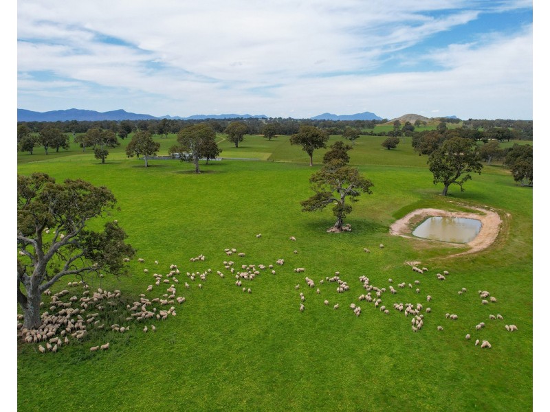 Mount Cavendish Road, Cavendish VIC 3314