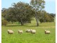 Mount Cavendish Road, Cavendish VIC 3314