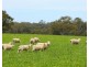 Mount Cavendish Road, Cavendish VIC 3314