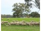 Mount Cavendish Road, Cavendish VIC 3314