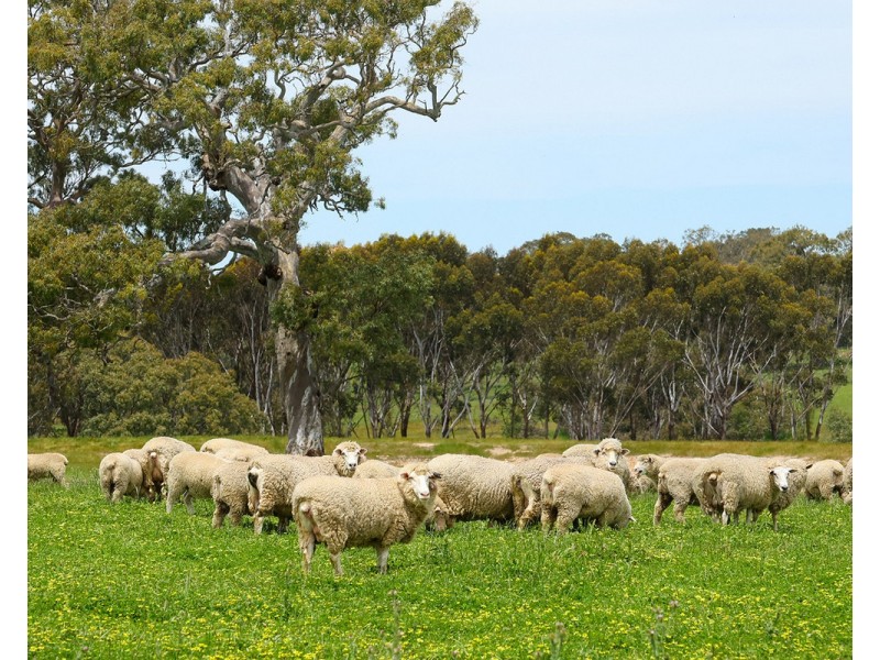 Mount Cavendish Road, Cavendish VIC 3314