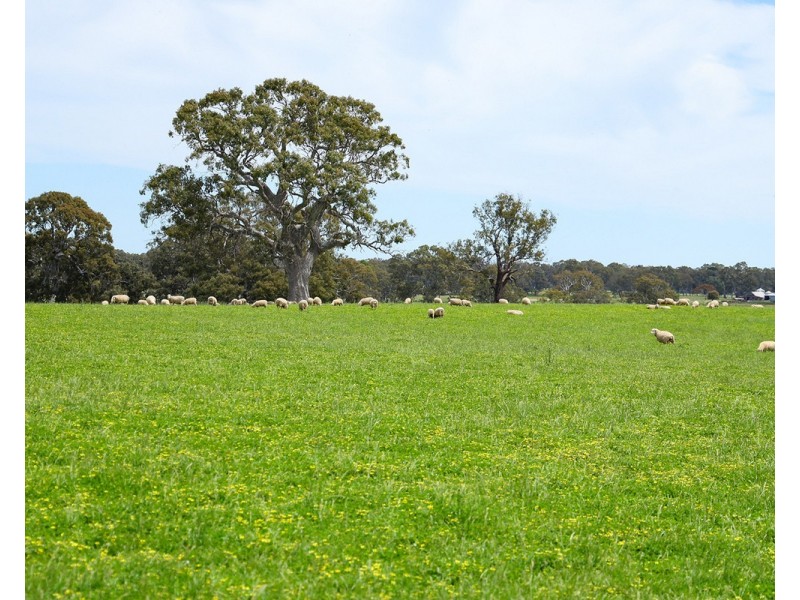 Mount Cavendish Road, Cavendish VIC 3314