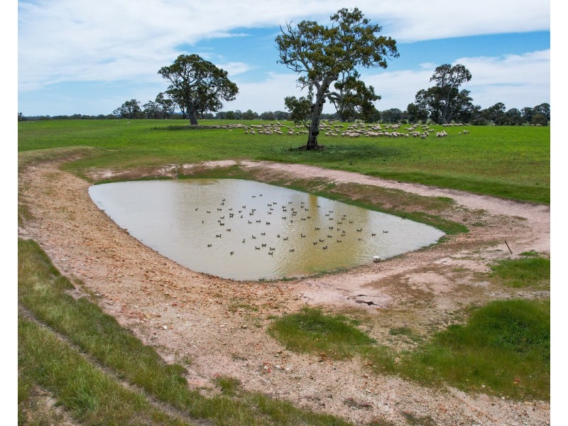 Mount Cavendish Road, Cavendish VIC 3314