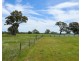 Mount Cavendish Road, Cavendish VIC 3314