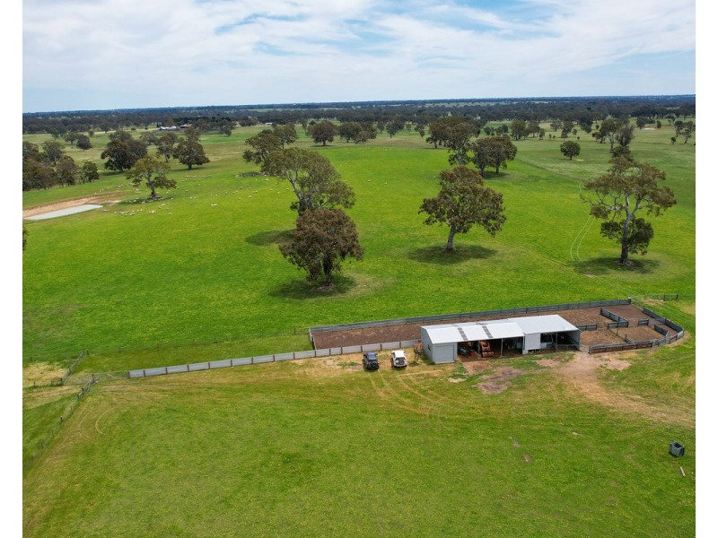 Mount Cavendish Road, Cavendish VIC 3314