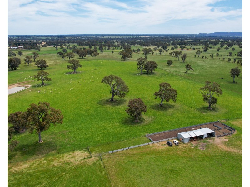 Mount Cavendish Road, Cavendish VIC 3314