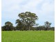 Mount Cavendish Road, Cavendish VIC 3314
