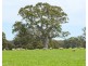 Mount Cavendish Road, Cavendish VIC 3314