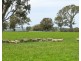 Mount Cavendish Road, Cavendish VIC 3314