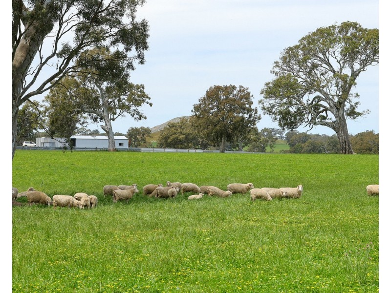 Mount Cavendish Road, Cavendish VIC 3314