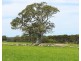Mount Cavendish Road, Cavendish VIC 3314