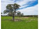 Mount Cavendish Road, Cavendish VIC 3314