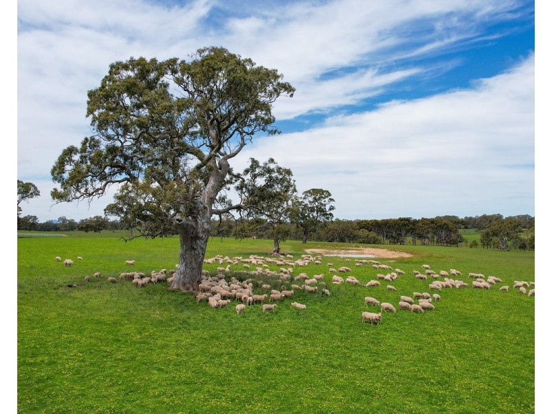 Mount Cavendish Road, Cavendish VIC 3314