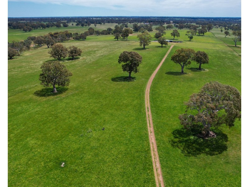 Mount Cavendish Road, Cavendish VIC 3314
