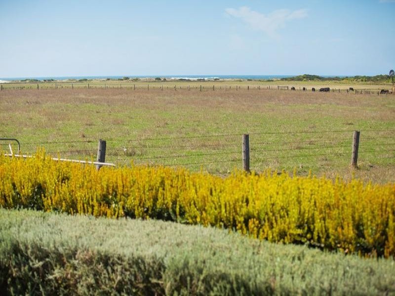 156 Survey Lane, Port Fairy VIC 3284