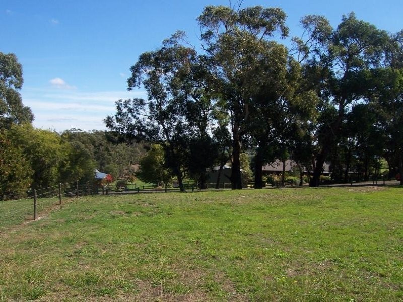 133 Curdievale Road, Timboon VIC 3268