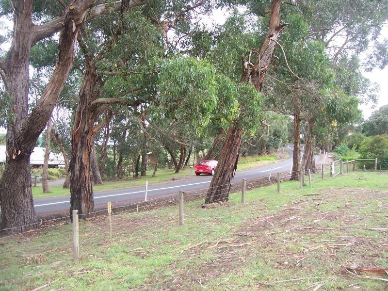 133 Curdievale Road, Timboon VIC 3268