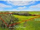 296 Blakes Road, Nirranda VIC 3268